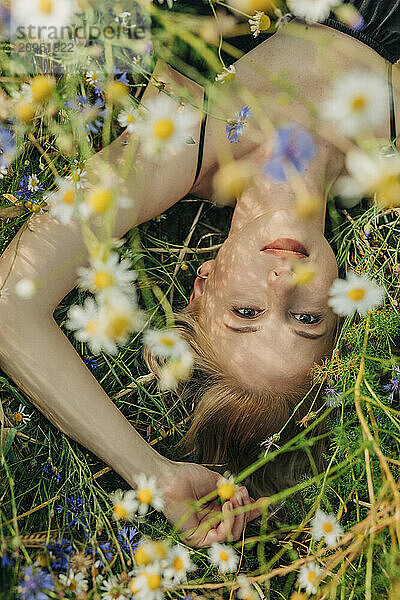 Beautiful woman lying on daisy meadow in summer