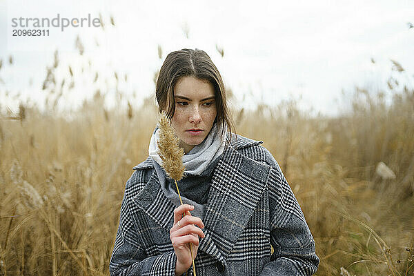 Young woman holding pampas in field