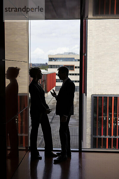 Silhouette of business colleagues discussing at office