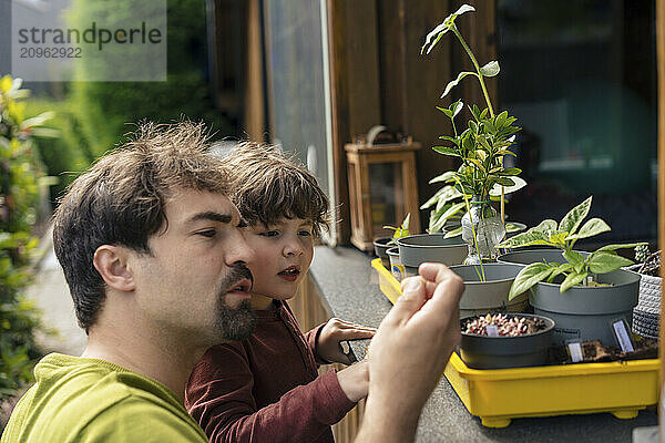 Father examining plants with son in back yard