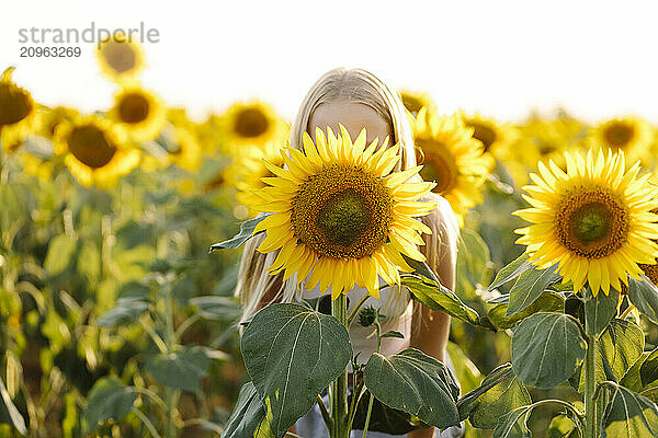 Girl covering face with sunflower in field