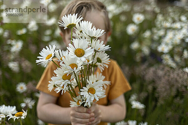 Boy holding bunch of daisy flowers in field