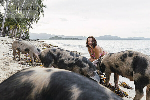 Smiling woman spending leisure time with pigs at beach