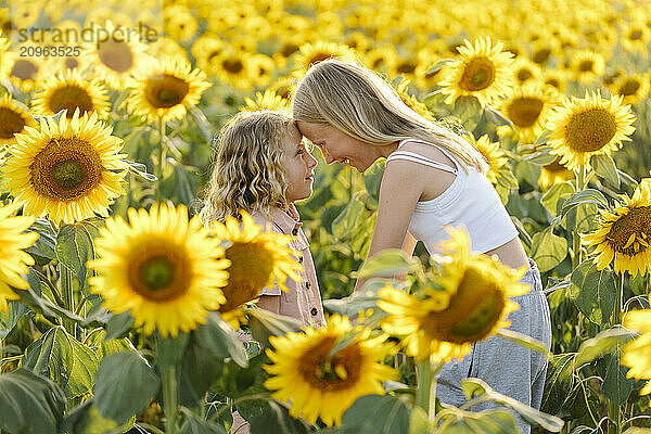 Sisters standing face to face in sunflower field