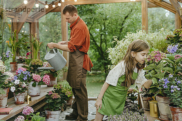 Girl smelling flowers and father watering plants in greenhouse