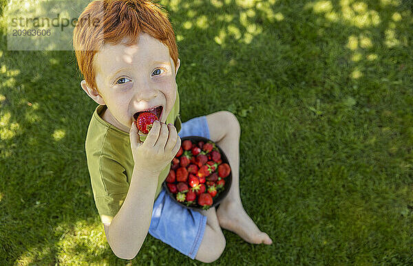 Cute boy sitting on grass and eating strawberries in garden