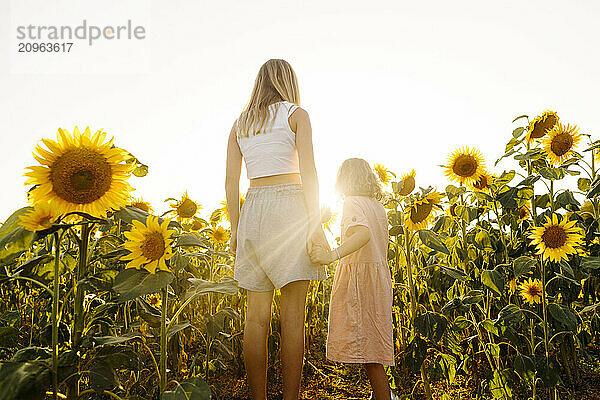 Sisters holding hands and standing in sunflower field