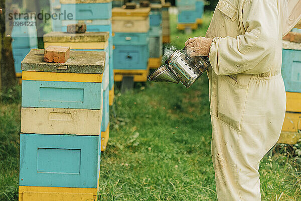 Beekeeper holding bee smoker and standing near bee hives on apiary