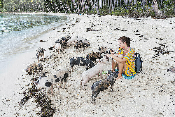 Smiling woman spending leisure time with piglets at beach