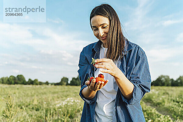 Beautiful woman holding strawberries in field