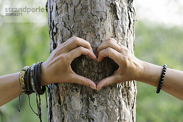 Hands of hikers gesturing heart shape on tree trunk in forest