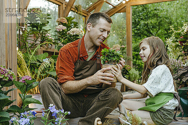 Father and daughter examining potted plant in greenhouse