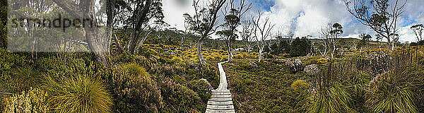 Overland Track Backpacking Trail Between Cradle Mountain And Lake Saint Clair  Tasmania