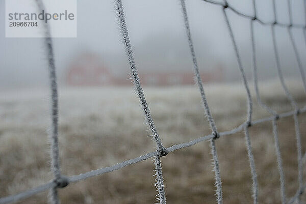 Winter morning ice crystals form on a fence with a red barn out of focus in background.