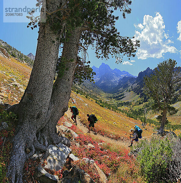 Hikers in Grand Teton National Park  Wyoming