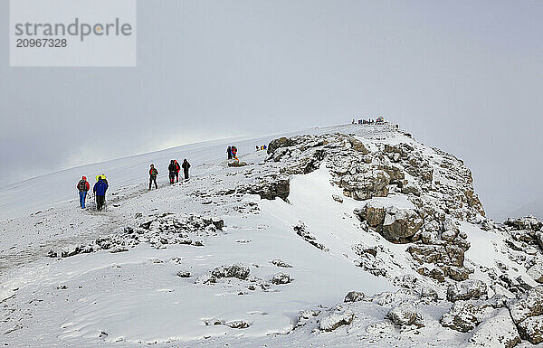 Climbers on a busy summit day going and returning from Uhuru Peak  the highest point of Mt. Kilimanjaro  Tanzania.