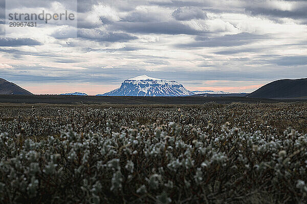 view of the famous Herdubrade volcano in Iceland