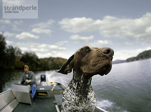 Happy dog riding on fishing boat.