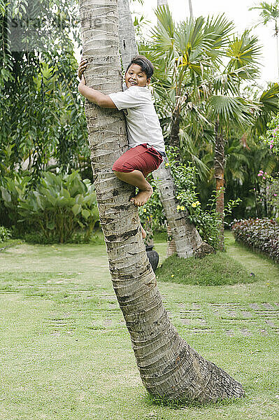 A group of young boys smiling and playing on an open field and climbing a tree