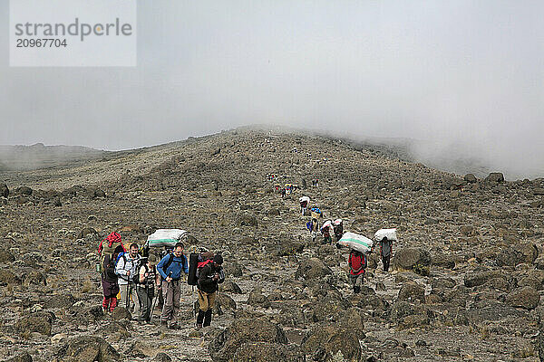 Line of guided climbers and porters ascending the Machame Route on Mt. Kilimanjaro.