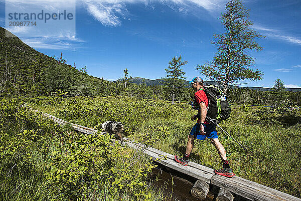 A hiker and dog on a log trail in Franconia Notch