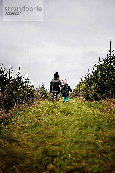 Young sisters walking through pine tree farm at Christmas