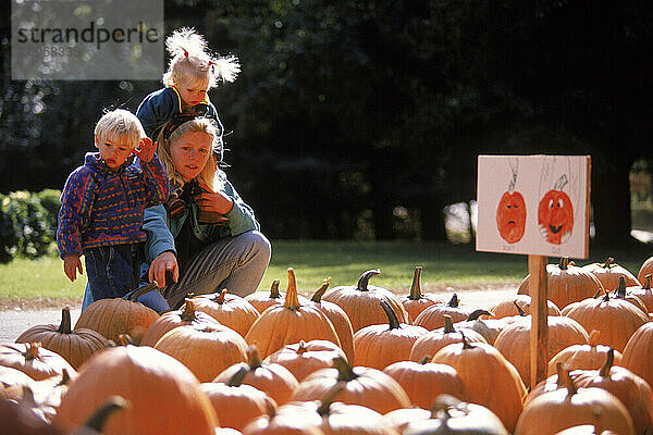 A family checks out a pumpkin patch in Maine.