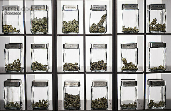 Medical grade marijuana display at MMJ Dispensary in Denver  Colorado.