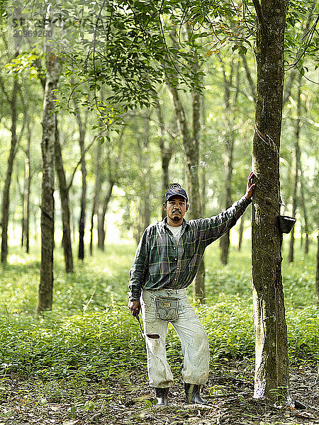 A rubber tapper leans against a rubber tree at a plantation in Johor  Malaysia.