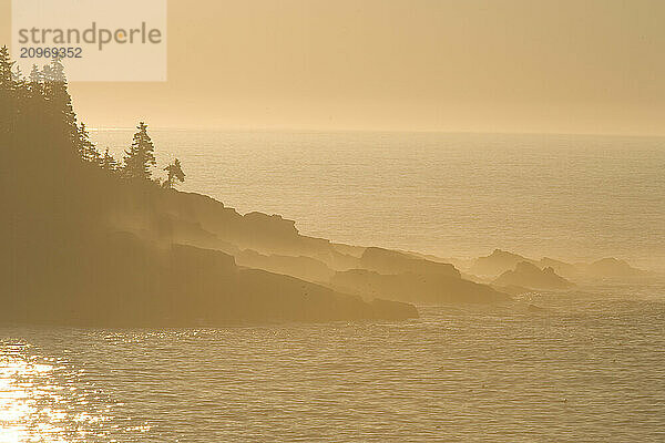 Sunrise greets the Otter Cliff area of Acadia National Park  Maine where waves and water meet rock and forest.