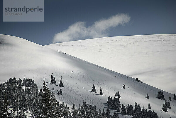 A group of skiers descend Chicago Ridge. Accessed by snowcat from Ski Cooper near Leadville  Colorado.