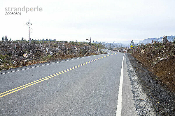 Clear cut logging in Oregon.