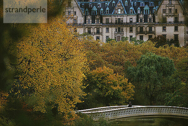 Bow Bridge.