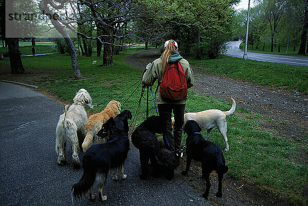 Dog walker.