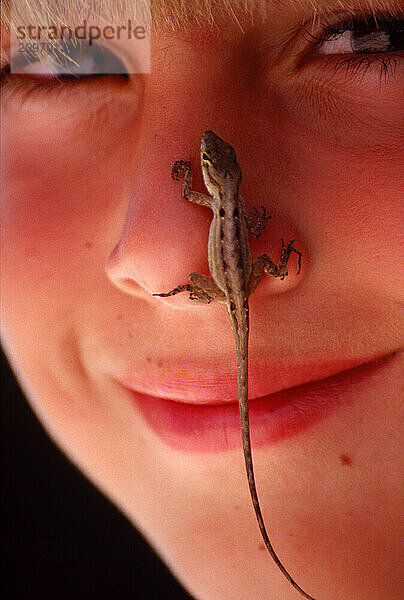 Close-up of boy with a lizard on his nose.