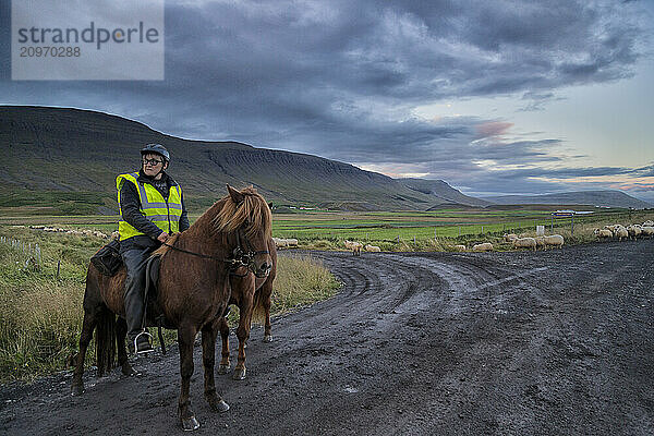 Shepherd on horseback at the annual autumn sheep roundup in Svinavatn  Iceland