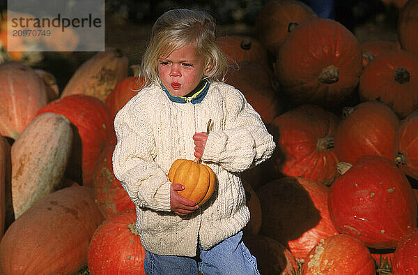 A toddler carries a pumpkin from a patch in Maine.