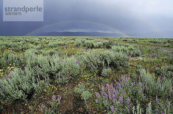 Sage flats and a rainbow  Wyoming  USA.