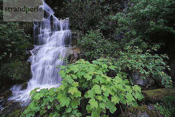 A waterfall.