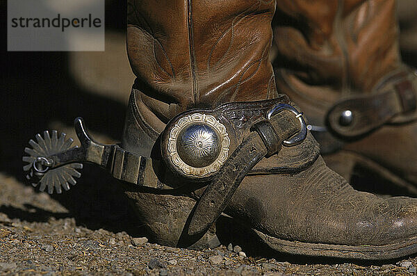 Cowboy boots with spurs  Wyoming  USA.