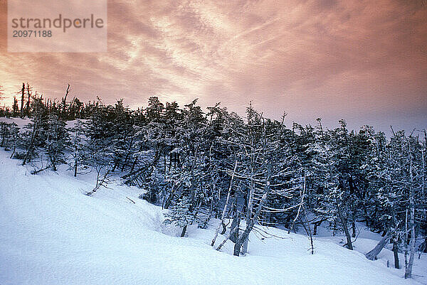 Skiier in Fresh Powder on Sugarloaf Mountain in Low Light.