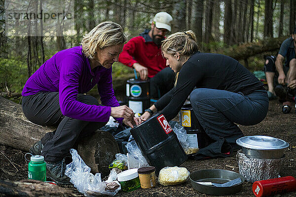 Hikers camping in forest  New York  USA