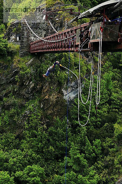 Man bungee jumping off Kuwara Bridge over Kawarau River  New Zealand