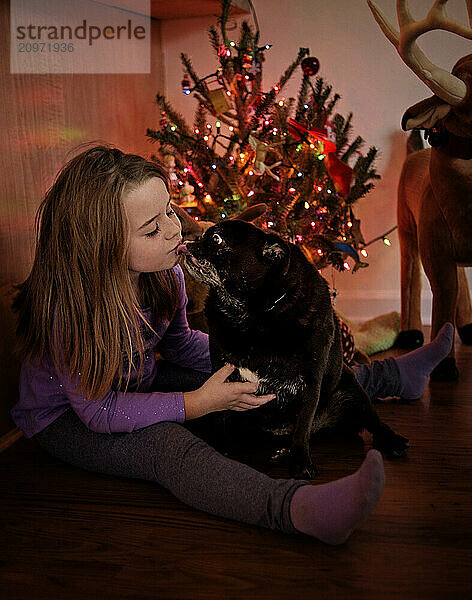 Black pug licking young girl near colorful Christmas tree