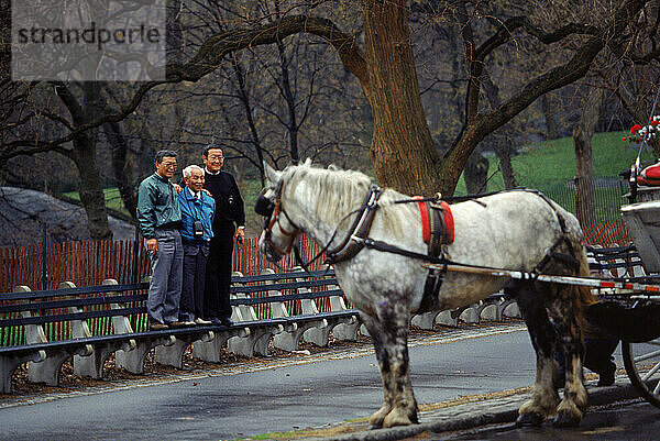 Horse Carriages.