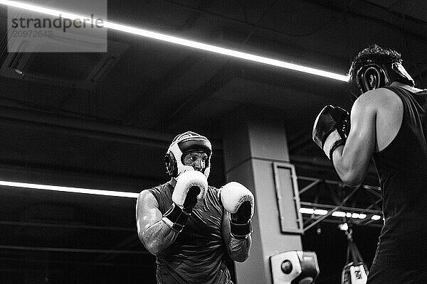 Boxers fighting in boxing training in the gym.