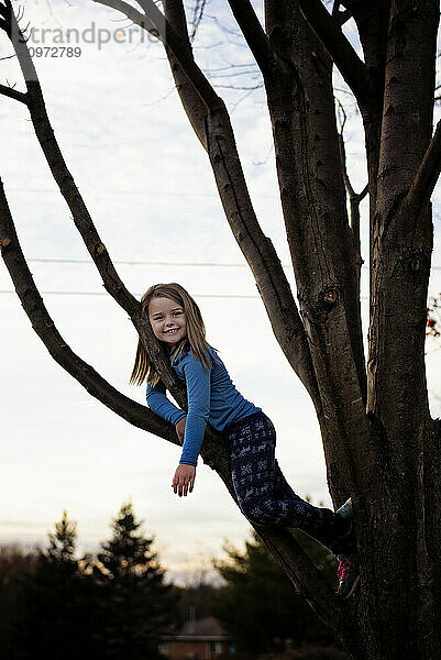 Young girl sitting in tree top outdoors