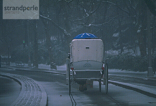 Carriage in light snow.