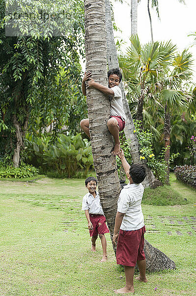 A group of young boys smiling and playing on an open field and climbing a tree