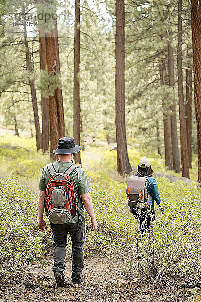 Hiker couple walking on a trail in the forest